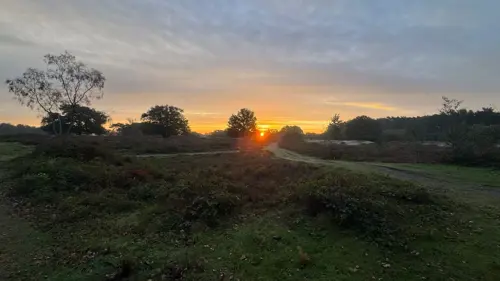 Grafheuvels Zuiderheide
